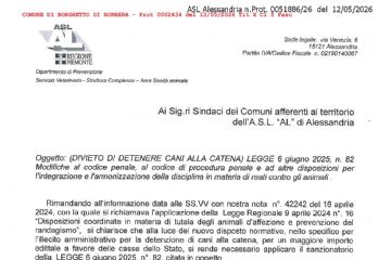 Legge 6 giugno 2025 n. 82.  Modifiche al Codice penale, al Codice di procedura penale e ad altre disposizioni per l'integrazione e l'armonizzazione de